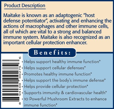 Maitake 10X Daily - Essential Immune Support